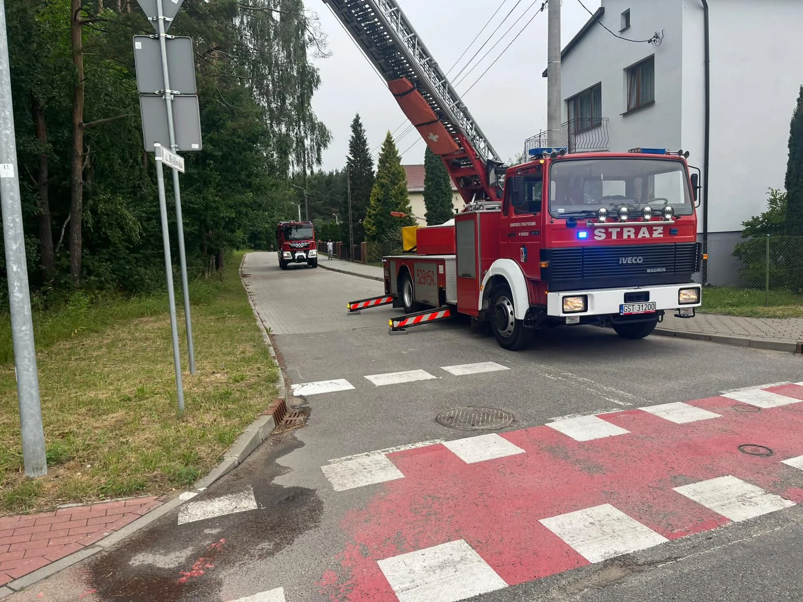 Niebezpieczne drzewo na ul. Myśliwskiej w Skórczu